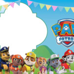 12 ENVELOPPES Enfants Anniversaire T5 Paw Patrol Invitation Cartes 12er