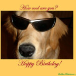 45 Best Birhtday Greetings Images On Pinterest Birthdays Happy B Day