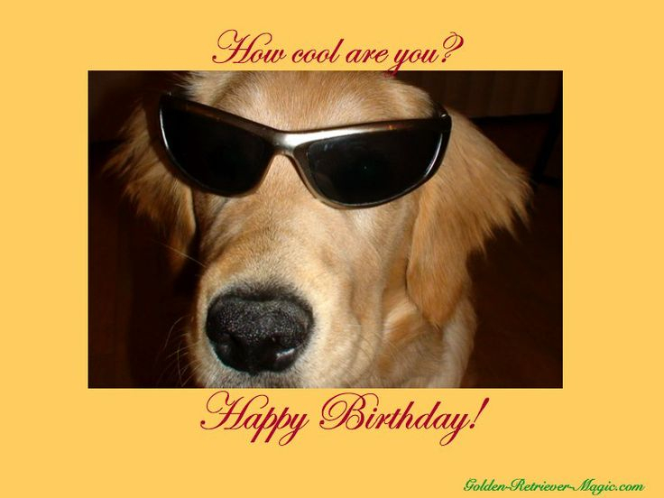 45 Best Birhtday Greetings Images On Pinterest Birthdays Happy B Day 