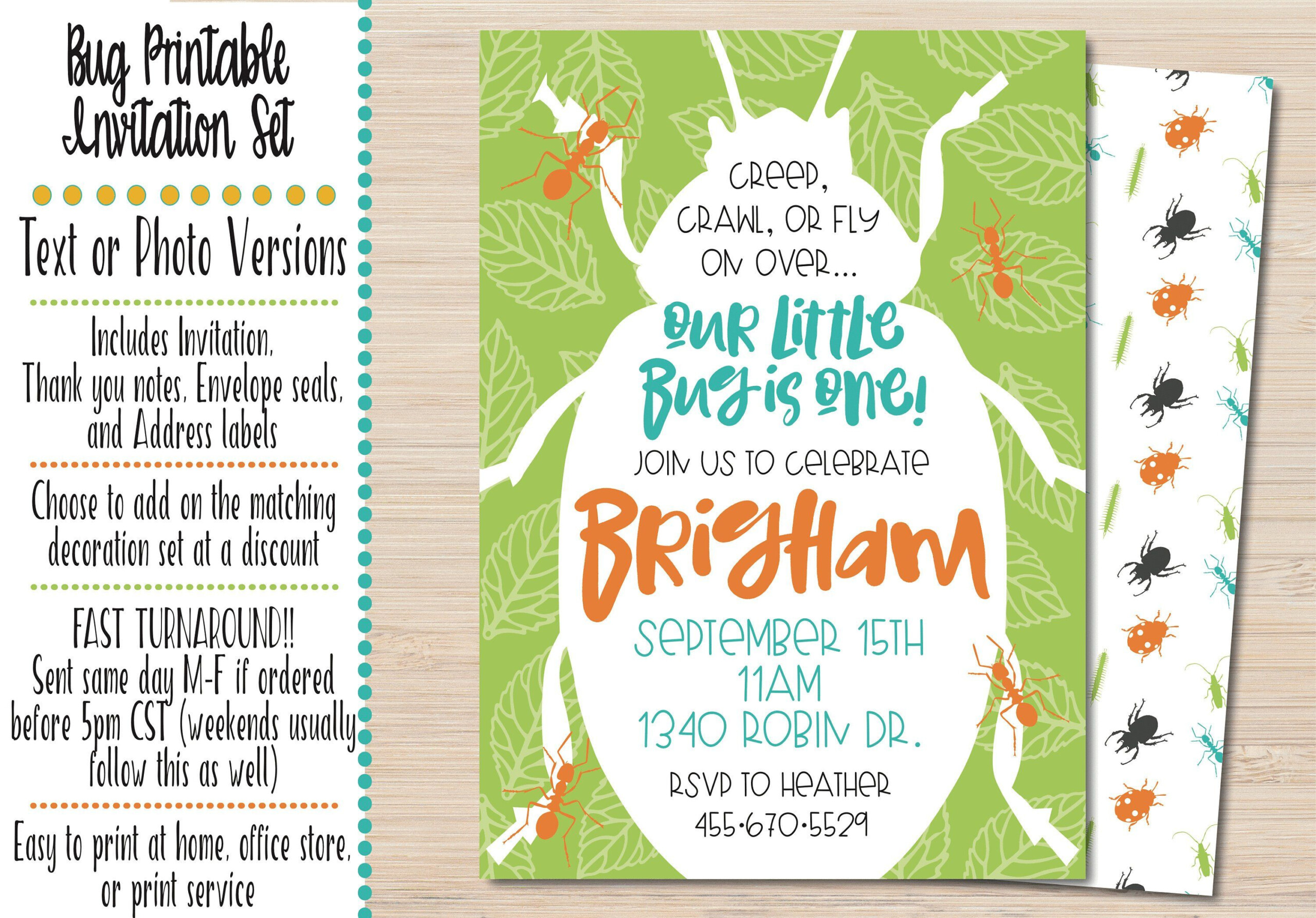 Bug Birthday Party Invitation Insect Birthday Party Etsy Birthday 