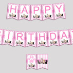 Cat Birthday Banner Cat Birthday Party Banner Pink White Happy Birthday