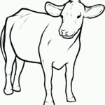 Cow Coloring Sheets Printable