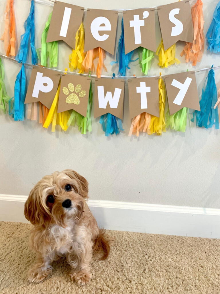 Dog Birthday Banner let s Pawty Banner Custom Dog Birthday Etsy