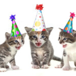 FREE Printable Cat Themed Birthday Invitations FREE Invitation