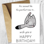 Funny Birthday Cards Printable Birthday Cards Funny Cat Etsy Funny