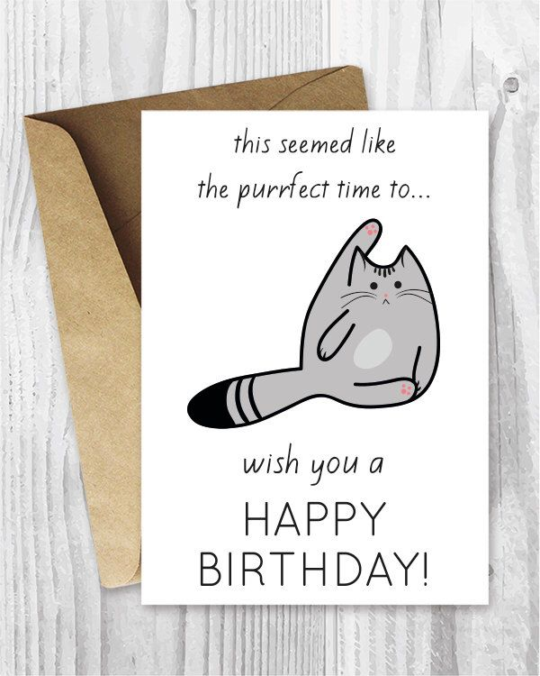 Funny Birthday Cards Printable Birthday Cards Funny Cat Etsy Funny 