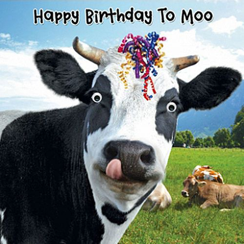 Funny Cow Streamers Birthday Card Happy Birthday To Moo 3D Goggly 