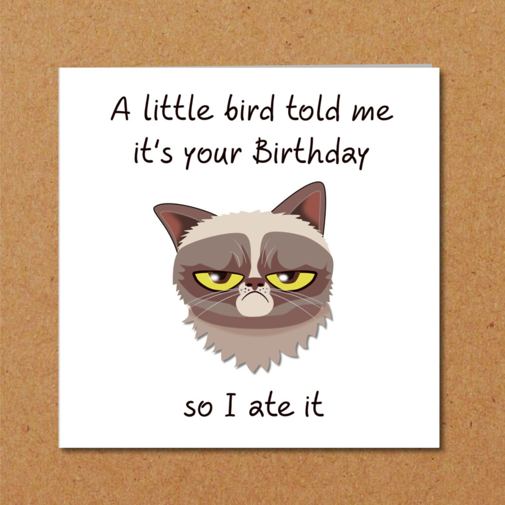 Grumpy Cat Birthday Card For Anyone Who Loves Cats Funny Etsy UK 