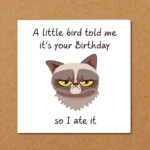 Grumpy Cat Birthday Card For Anyone Who Loves Cats Funny Etsy UK