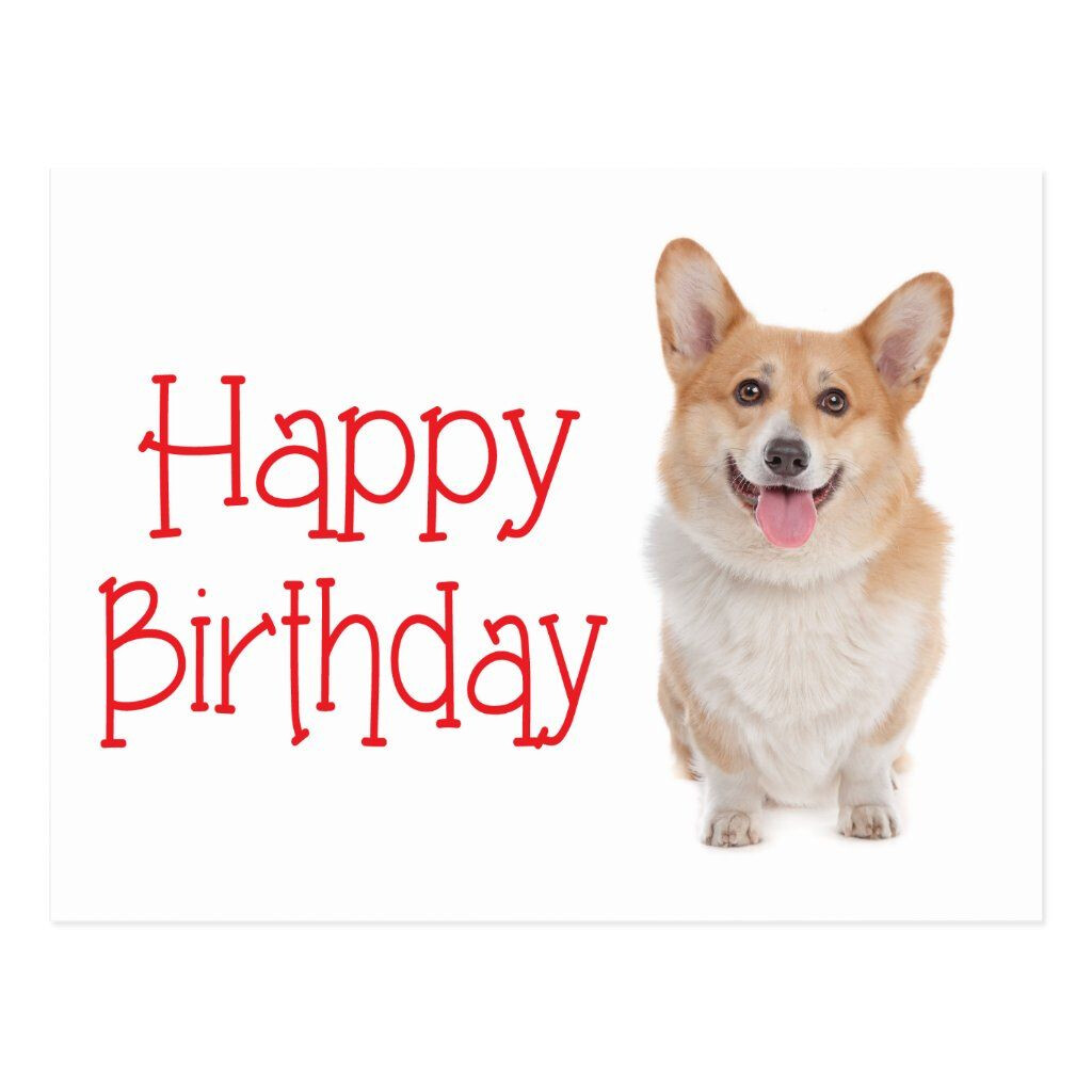 Happy Birthday Pembroke Corgi Puppy Dog Postcard Zazzle 