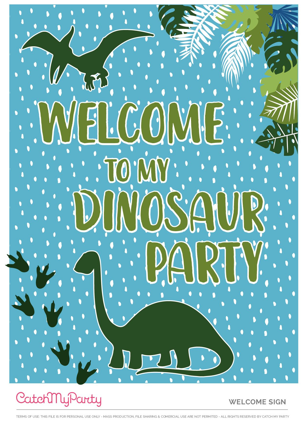 Sensational Dinosaur Party Decorations Printables Two Digit Addition 