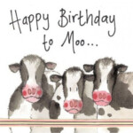 Spruch Gl ck Geburtstag Cow Birthday Happy Birthday Cow Happy