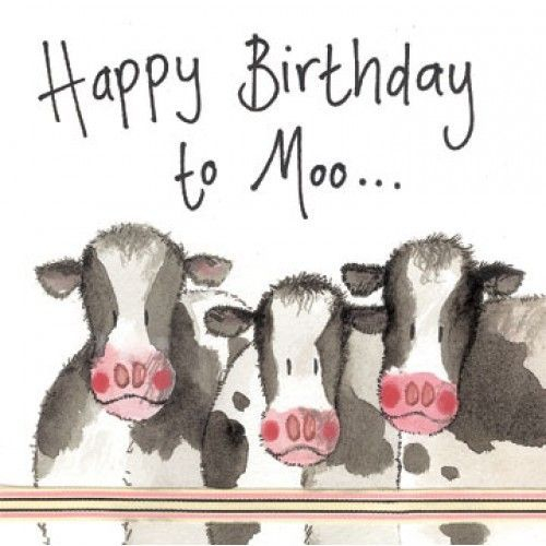 Spruch Gl ck Geburtstag Cow Birthday Happy Birthday Cow Happy 