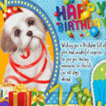 A Cute And Funny Birthday Card Free Funny Birthday Wishes ECards 123