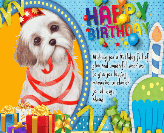 A Cute And Funny Birthday Card Free Funny Birthday Wishes ECards 123