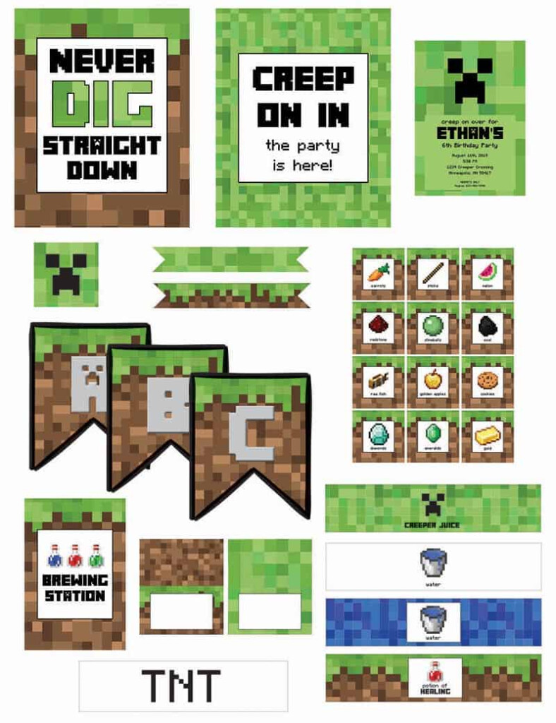 Minecraft Birthday Party with Free Printables Elva M Design Studio